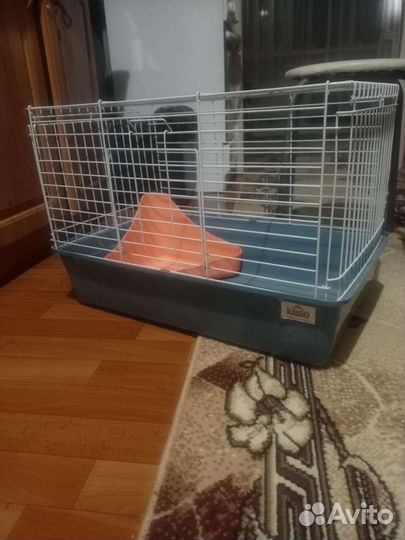 Клетка для кролика или морской свинки
