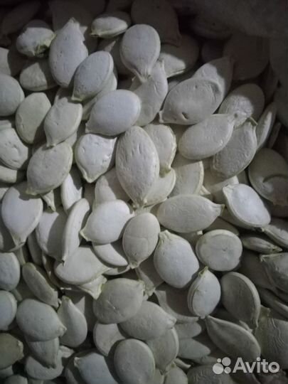 Семена тыквы