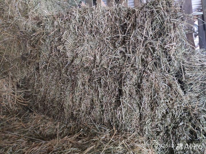 Сено люцерны в тюках