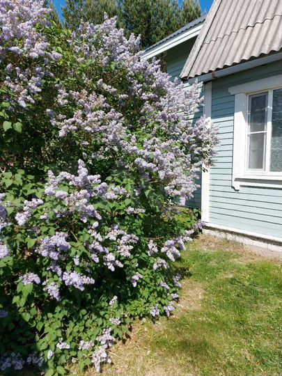 Дача 60 м² на участке 7 сот.