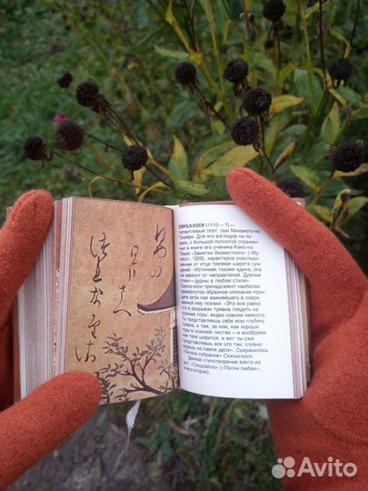 Сто стихотворений ста поэтов