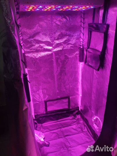 Гроутент Гроубокс