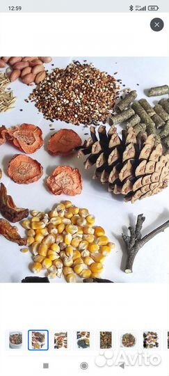 Копошилка для попугаев