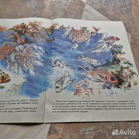 Коралловый риф. Альбом для раскрашивания. 1988 г