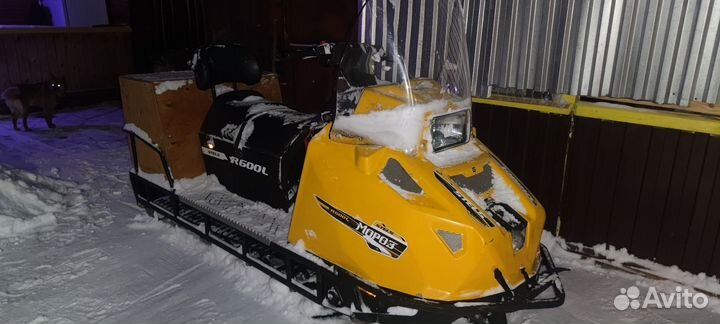 Стелс Мороз