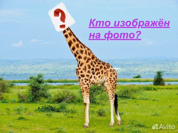 AirPods 3 (Гарантия + Чехол + Доставка)