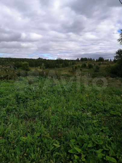 Участок 29 сот. (ИЖС)