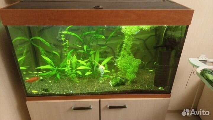 Аквариум с рыбками и тумбой