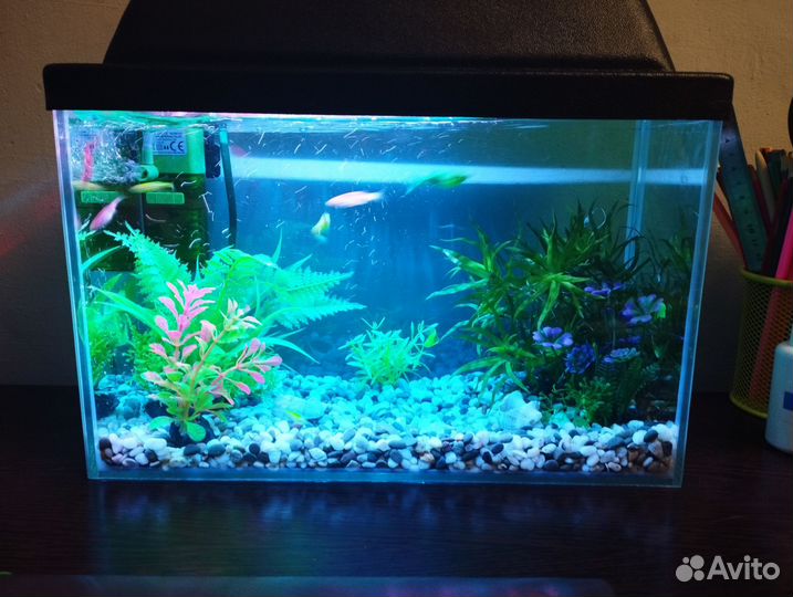Аквариум на 10 литров с крышкой