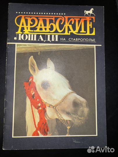 «Арабские лошади на Ставрополье»