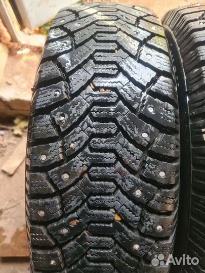 Tunga Nordway 185/65 R15