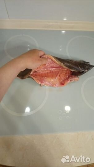 Форель см 1,2-1,6 кг. шт