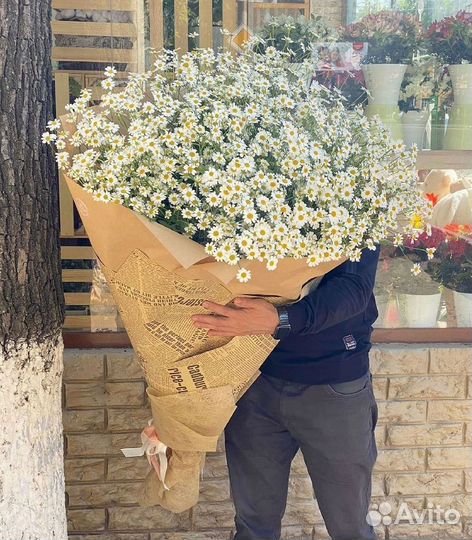 Цветы ромашки. Букеты ромашек. Цветы доставка
