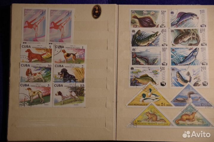 Марки СССР и зарубежные в альбоме