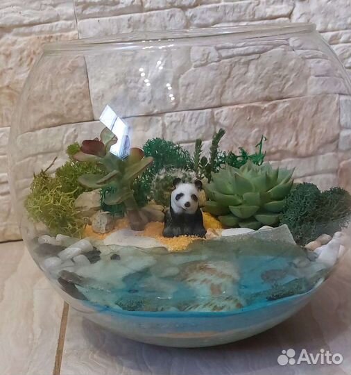 Флорариум с суккулентами