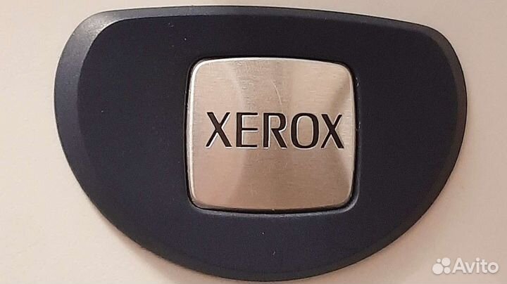 Мфу xerox 3100