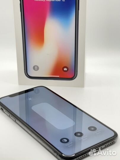 iPhone X, 256 ГБ