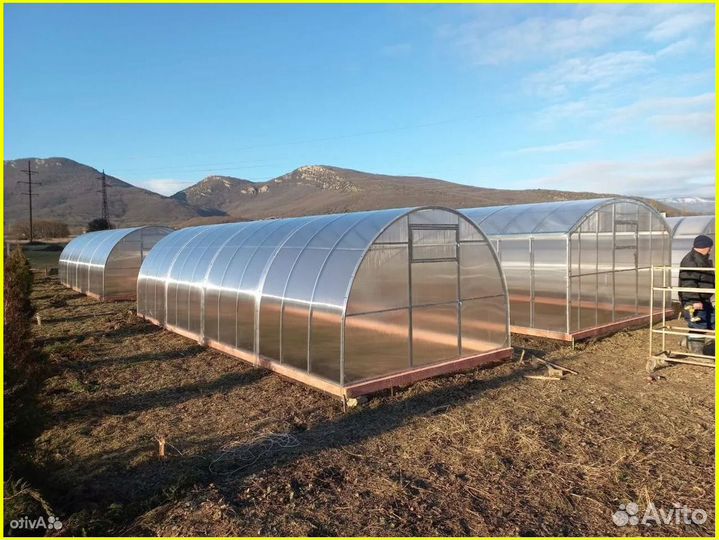 Теплица усиленная В