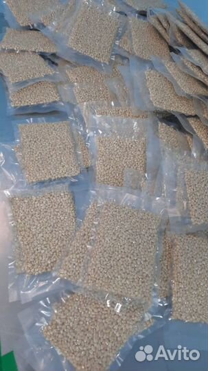 Кедровый орех (очищенный)