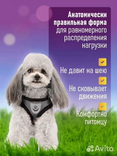 Шлейка для собаки мелких пород