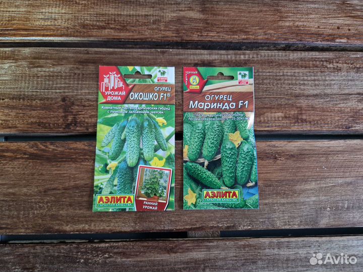 Семена огурцов №1