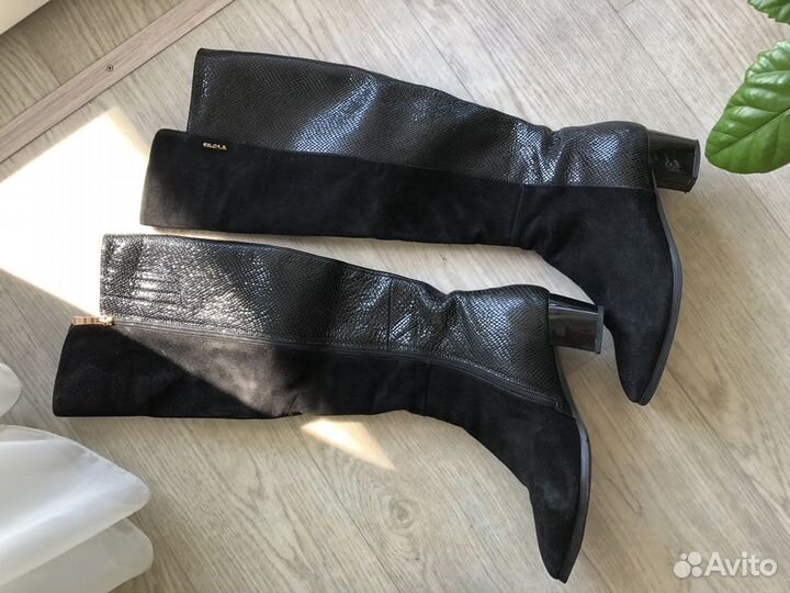 Сапоги демисезонные женские