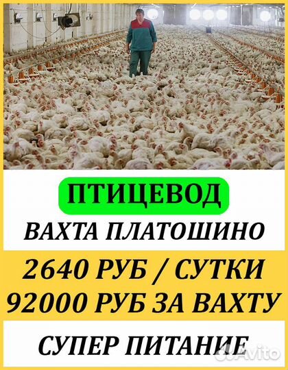 Птицеводы вахтой в Пермь. Оплата проезда