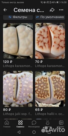 Семена литопсов, кактусов, фенестрарий, хавортий