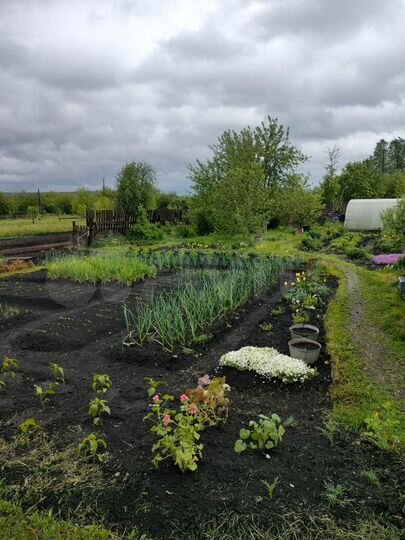 Дом 52 м² на участке 25 сот.