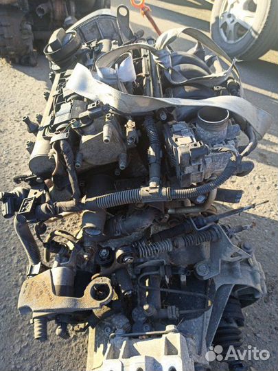 Двигатель Volkswagen Golf 5 BCA 1.4 2005