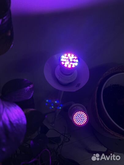 Лампа светодиодная