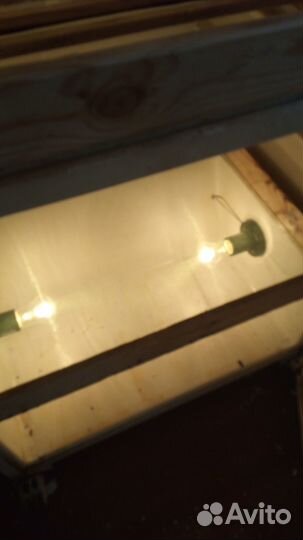 Инкубатор самодельный