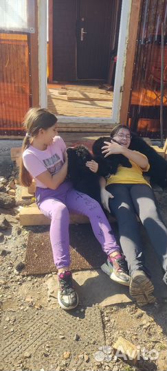 Нам 2 месяца.Детки ждут новых мама и пап