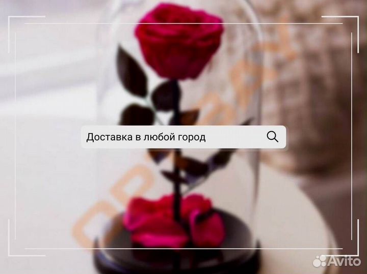 Роза в колбе