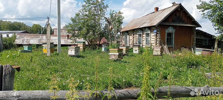 Пчелы с ульями