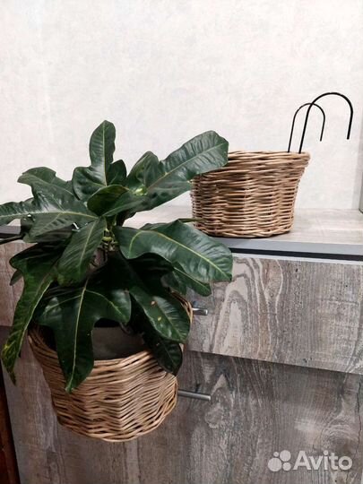 Кашпо подвесное для цветов