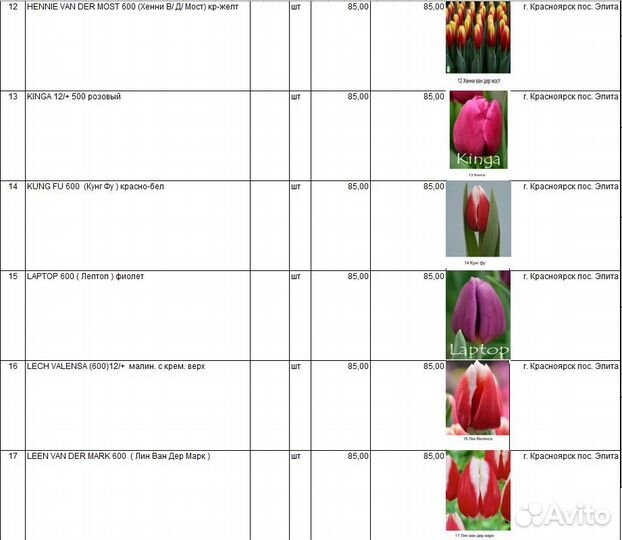 Тюльпаны к 8 марта оптом