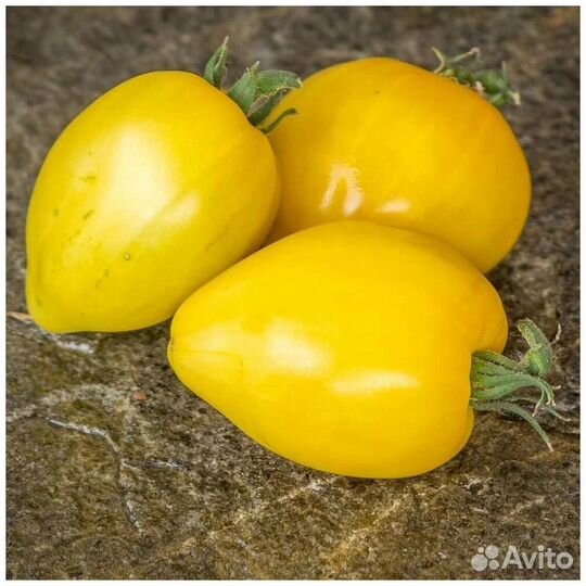 Семена томатов серии Гном