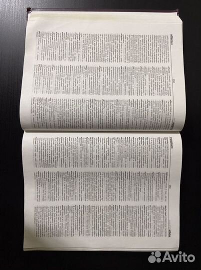 Большой англо-русский словарь