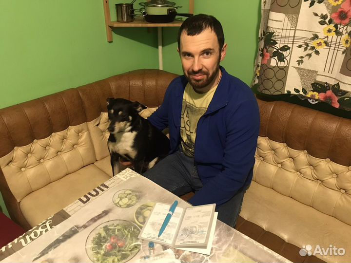 Ветеринарный врач и фельдшер вызов на дом