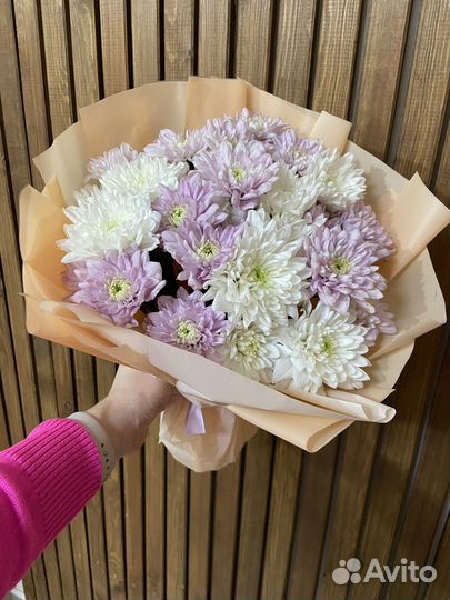 Хризантема букет цветы