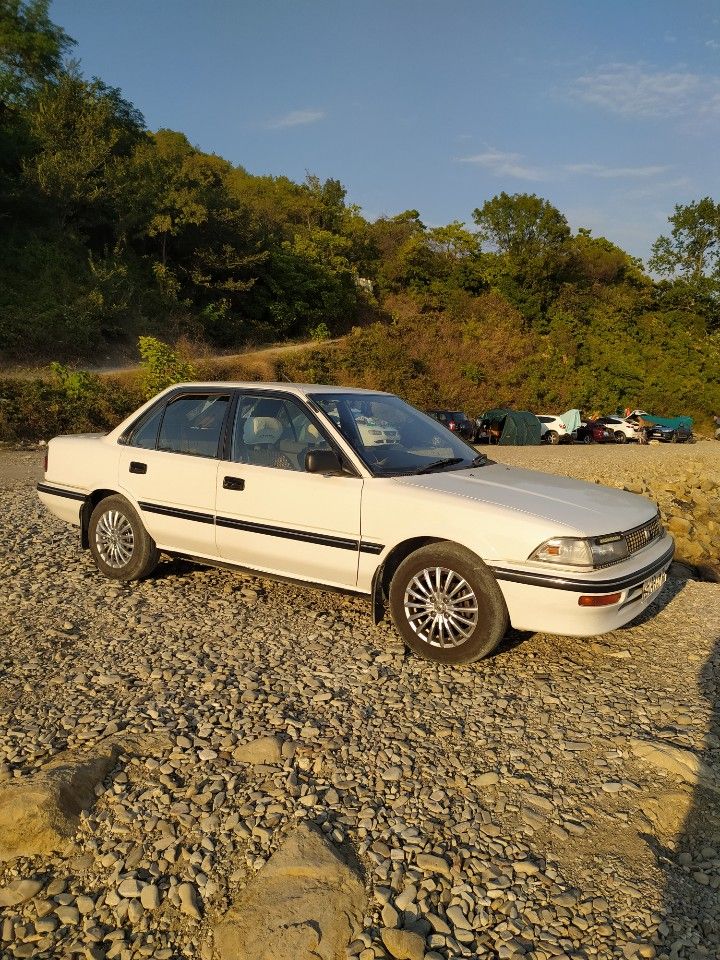 Toyota Corolla: фото владельца