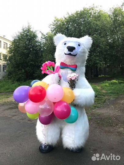 Поздравление от Карельского Мишки и Кота Учёного