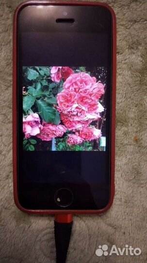 iPhone 5S, 16 ГБ