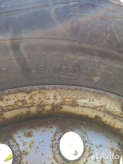 Nordman WR 185/70 R14