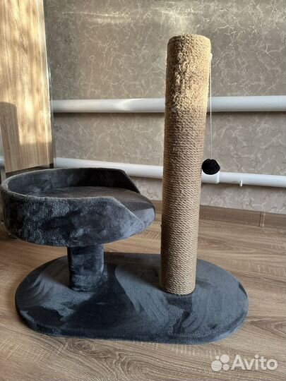 Когтеточка