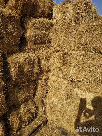 Солома сено