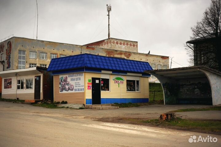 Готовый бизнес шаурма кафе общепит