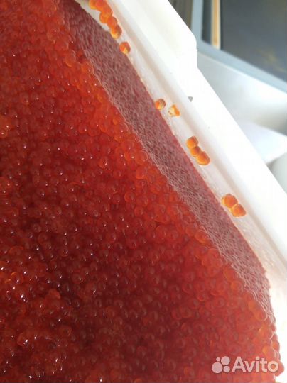 Икра красная