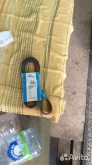 Ремень грм opel vectra в 6рк1719 и много других